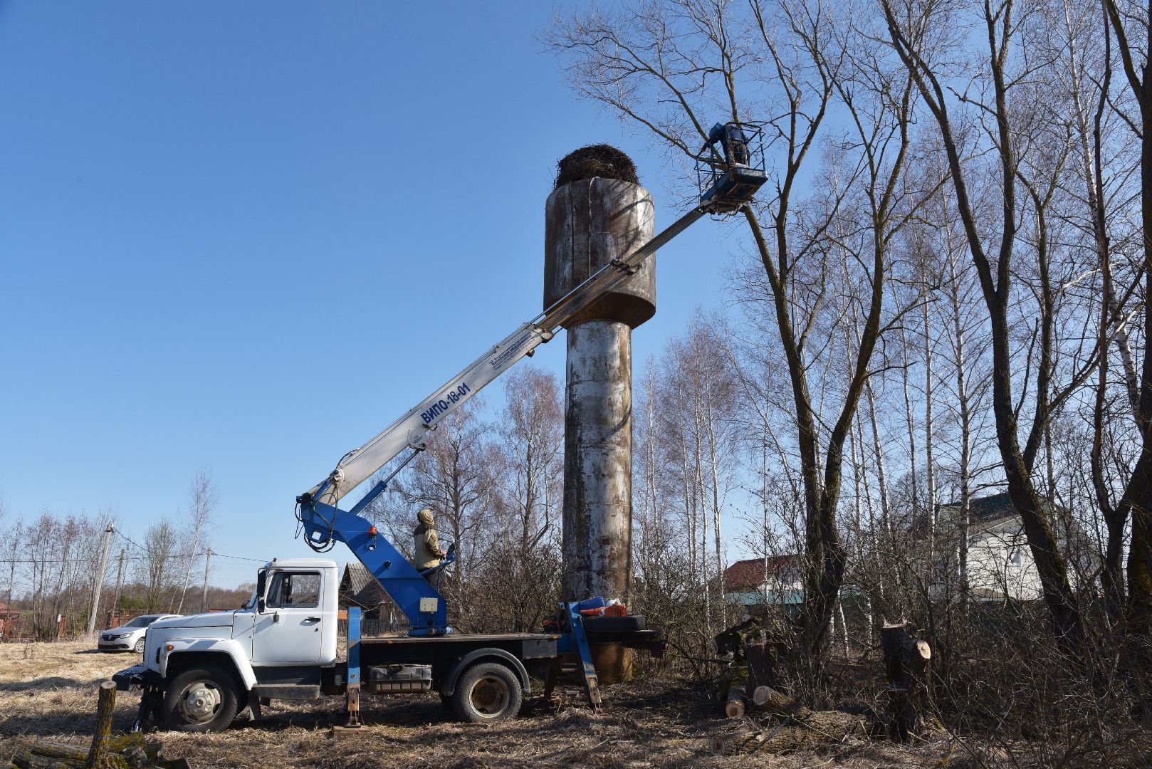 лотошино, экология, аисты, спил деревьев,