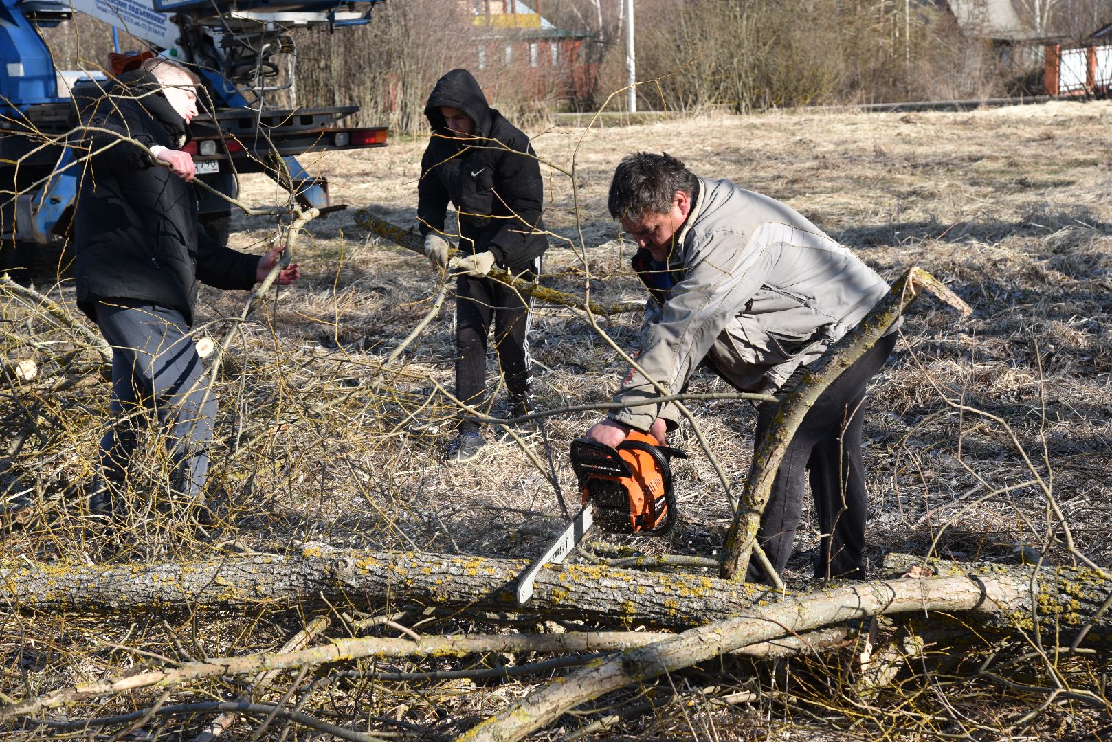 лотошино, экология, аисты, спил деревьев,