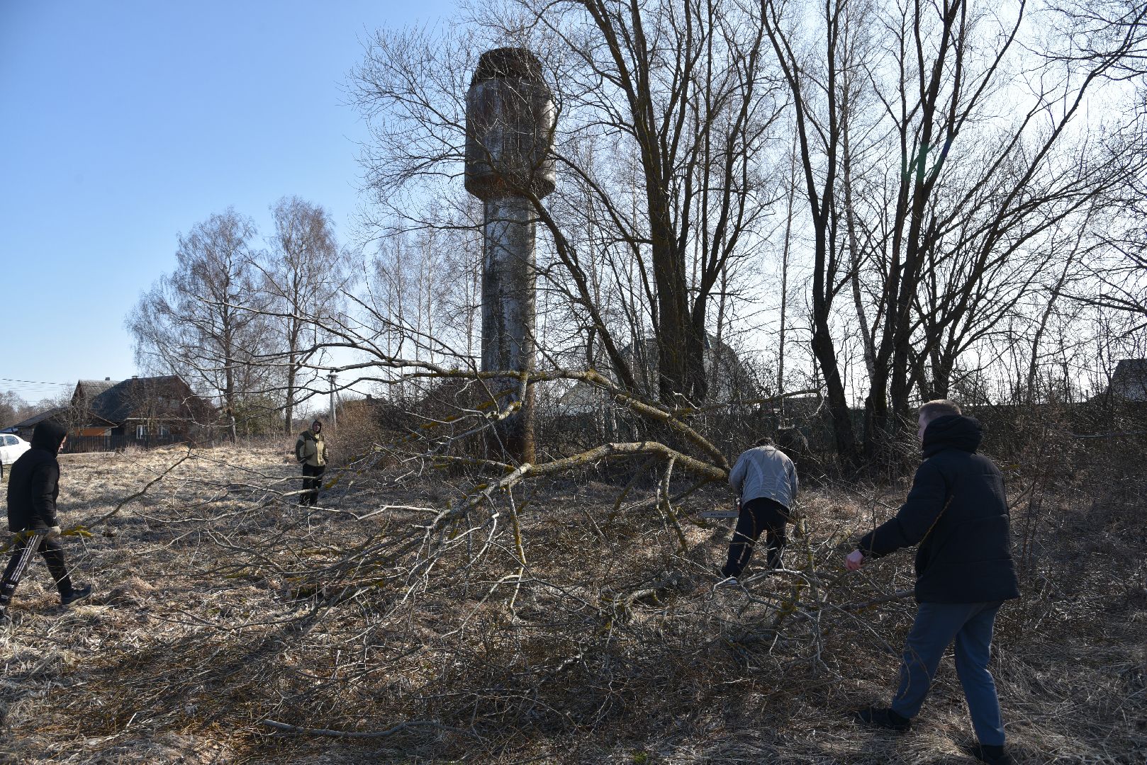 лотошино, экология, аисты, спил деревьев,