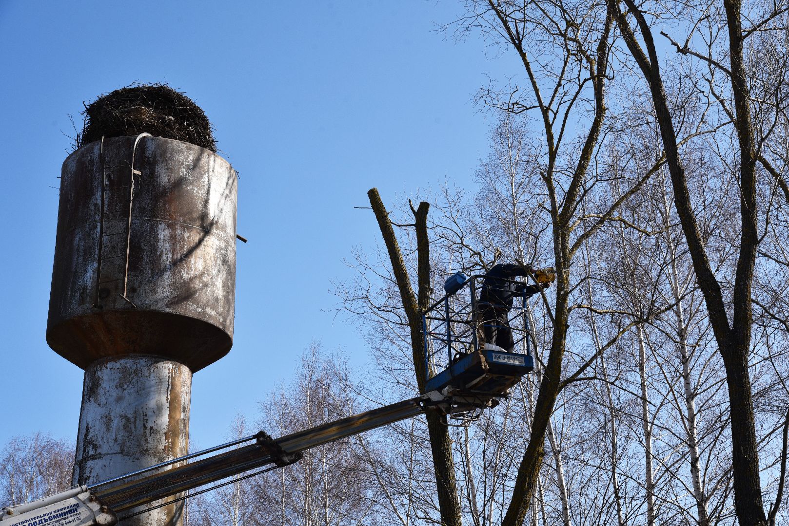 лотошино, экология, аисты, спил деревьев,