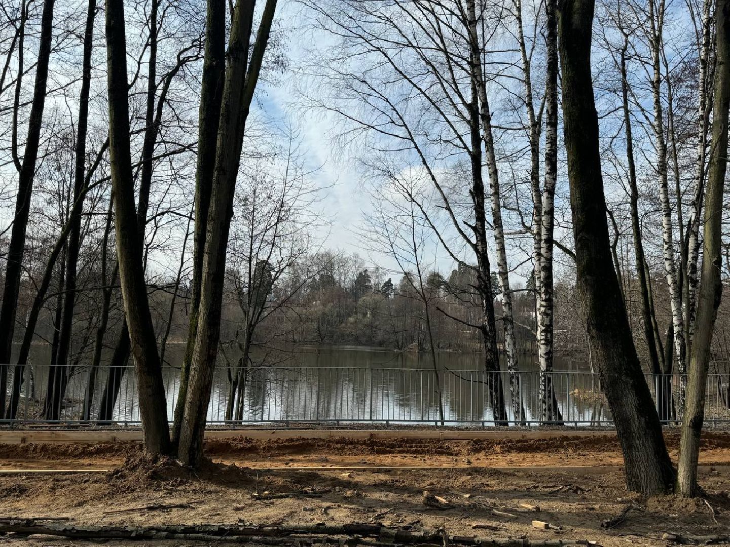 кучинский лесопарк, благоуствойство, кафе,