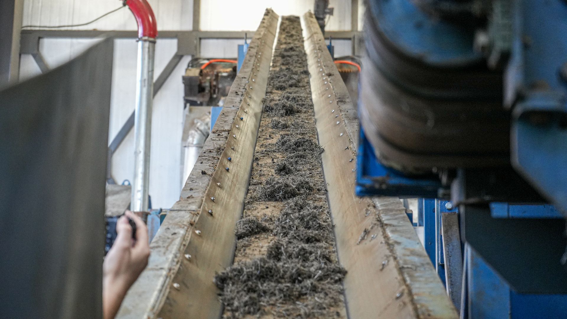 профориентация для школьников,