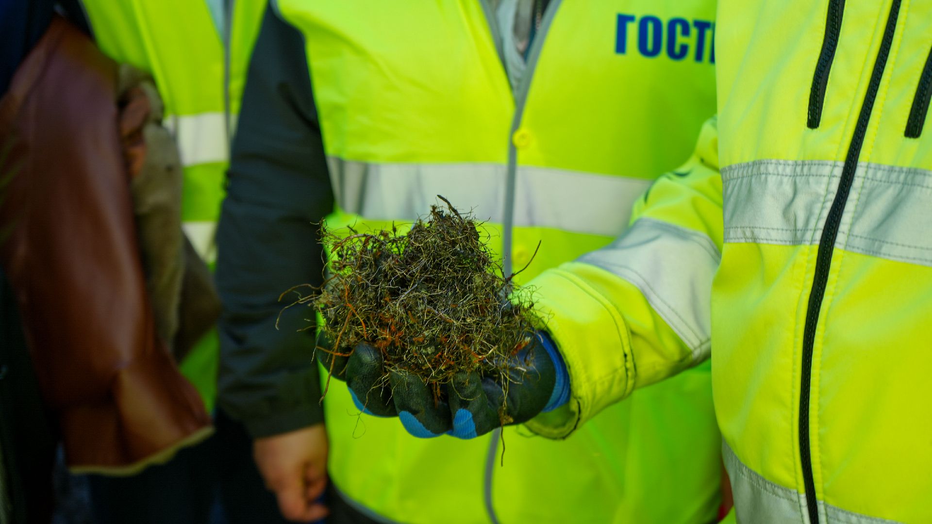 профориентация для школьников,