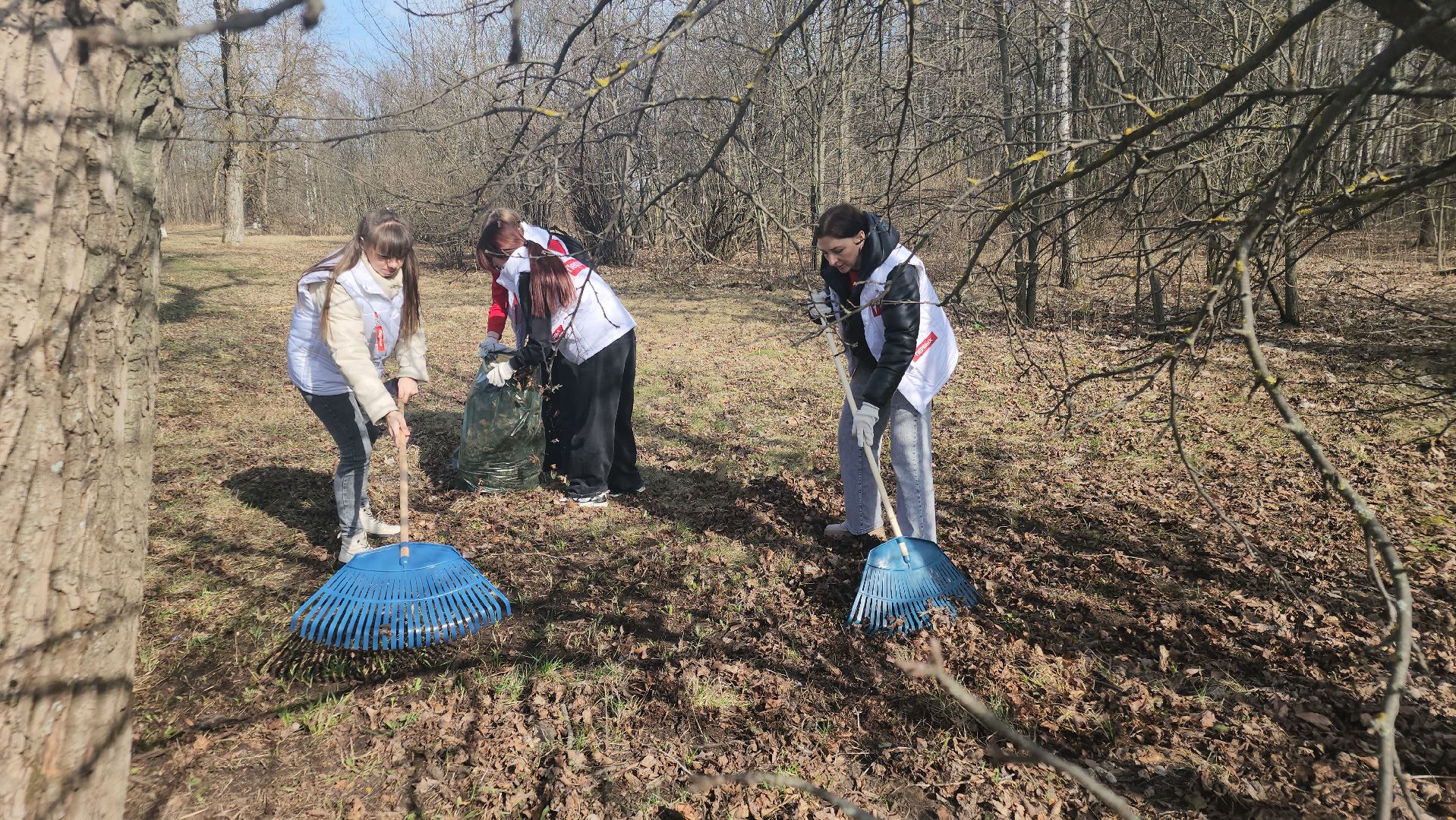 субботник, орехово-зуево, движение первых,