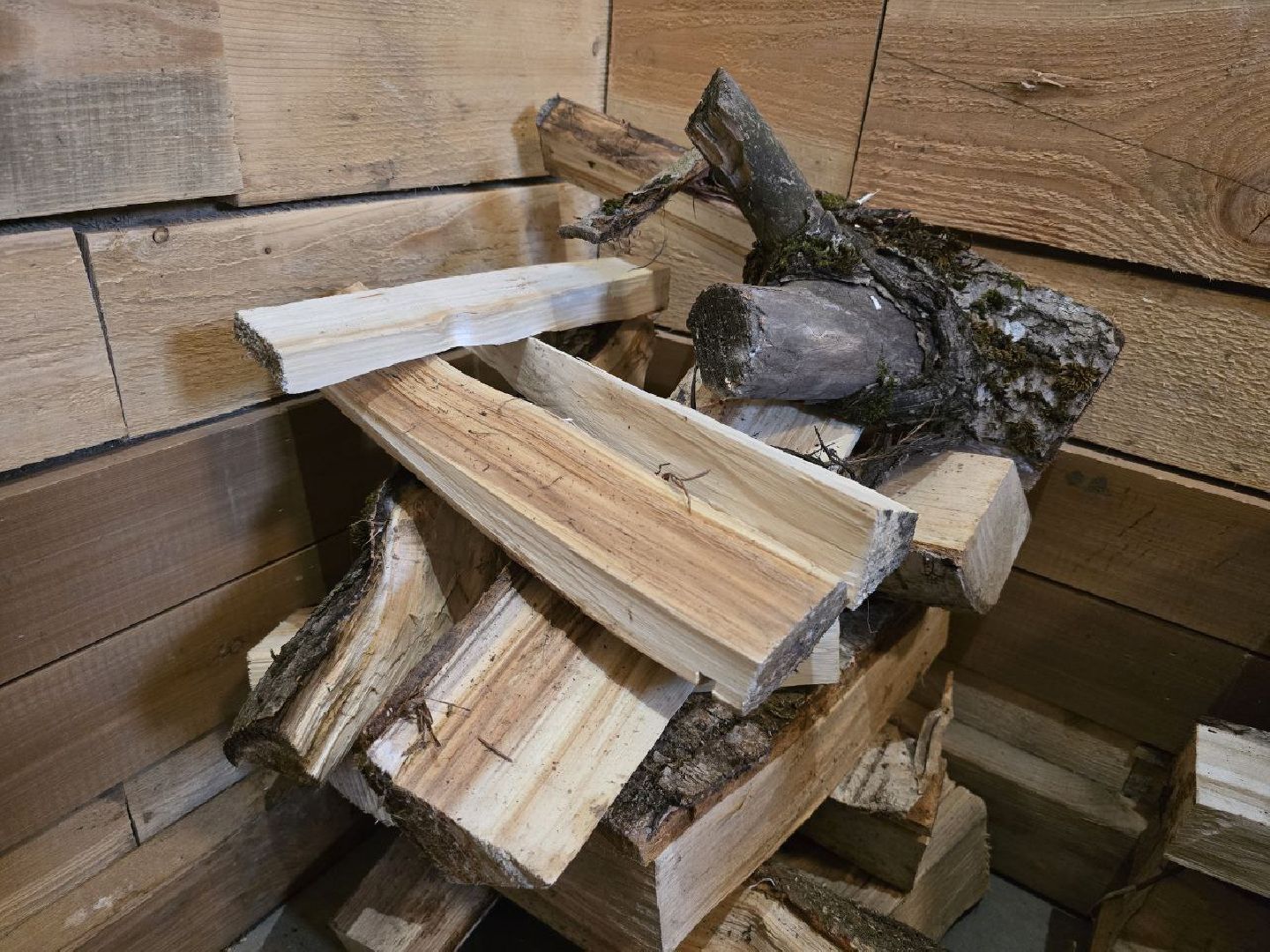 можайск, можайский муниципальный округ, туризм, экоранчо, развитие инфраструктуры, новые дома, туристы,баня, бассейн,