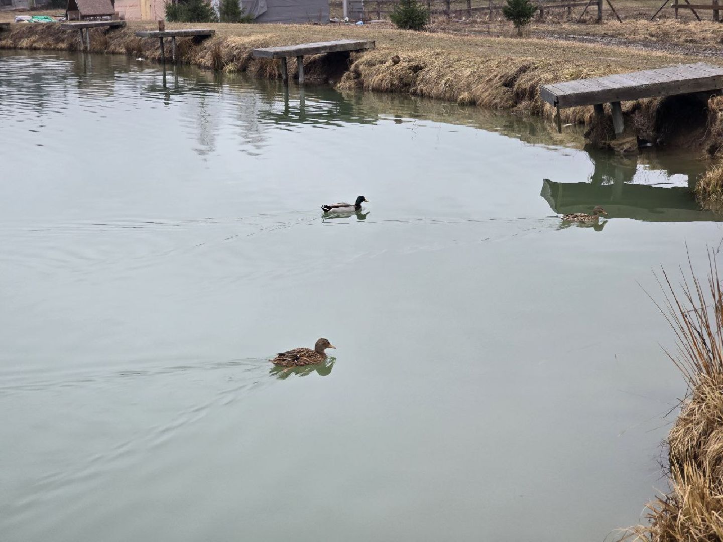 можайск, можайский муниципальный округ, туризм, экоранчо, развитие инфраструктуры, новые дома, туристы,баня, бассейн,