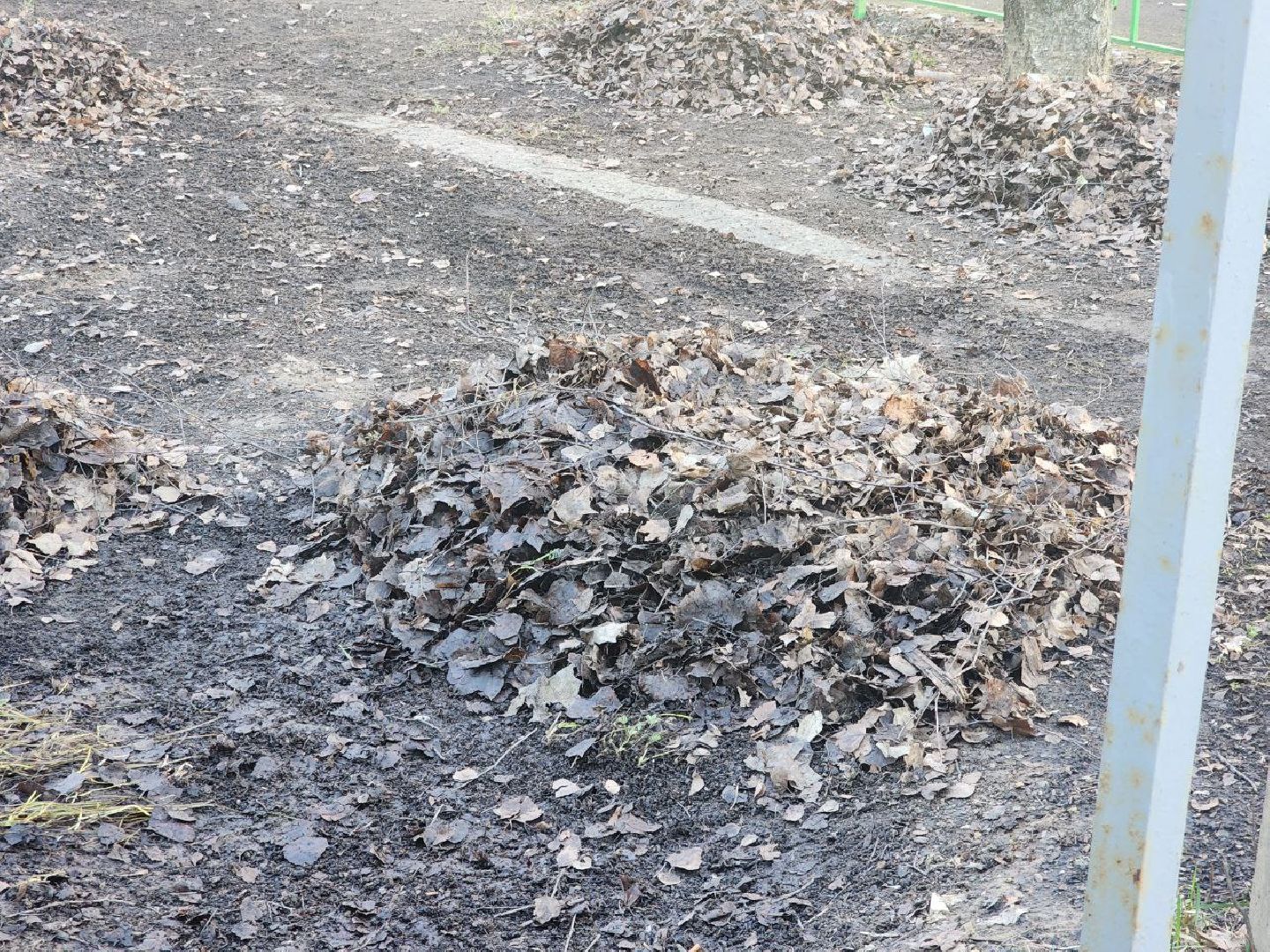 солнечногорск, жители, уборка территорий, дворы, коммунальная служба,