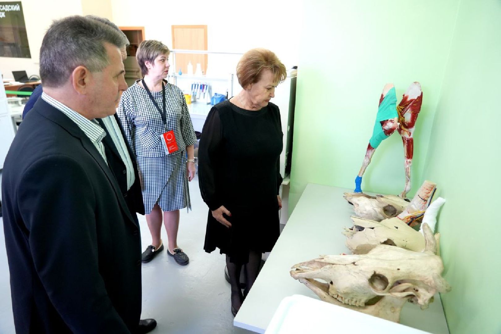 образование, сергиево-посадский колледж, профессионалы, сергиево-посадский городской округ, сергиев посад, колледж, ветеринария,