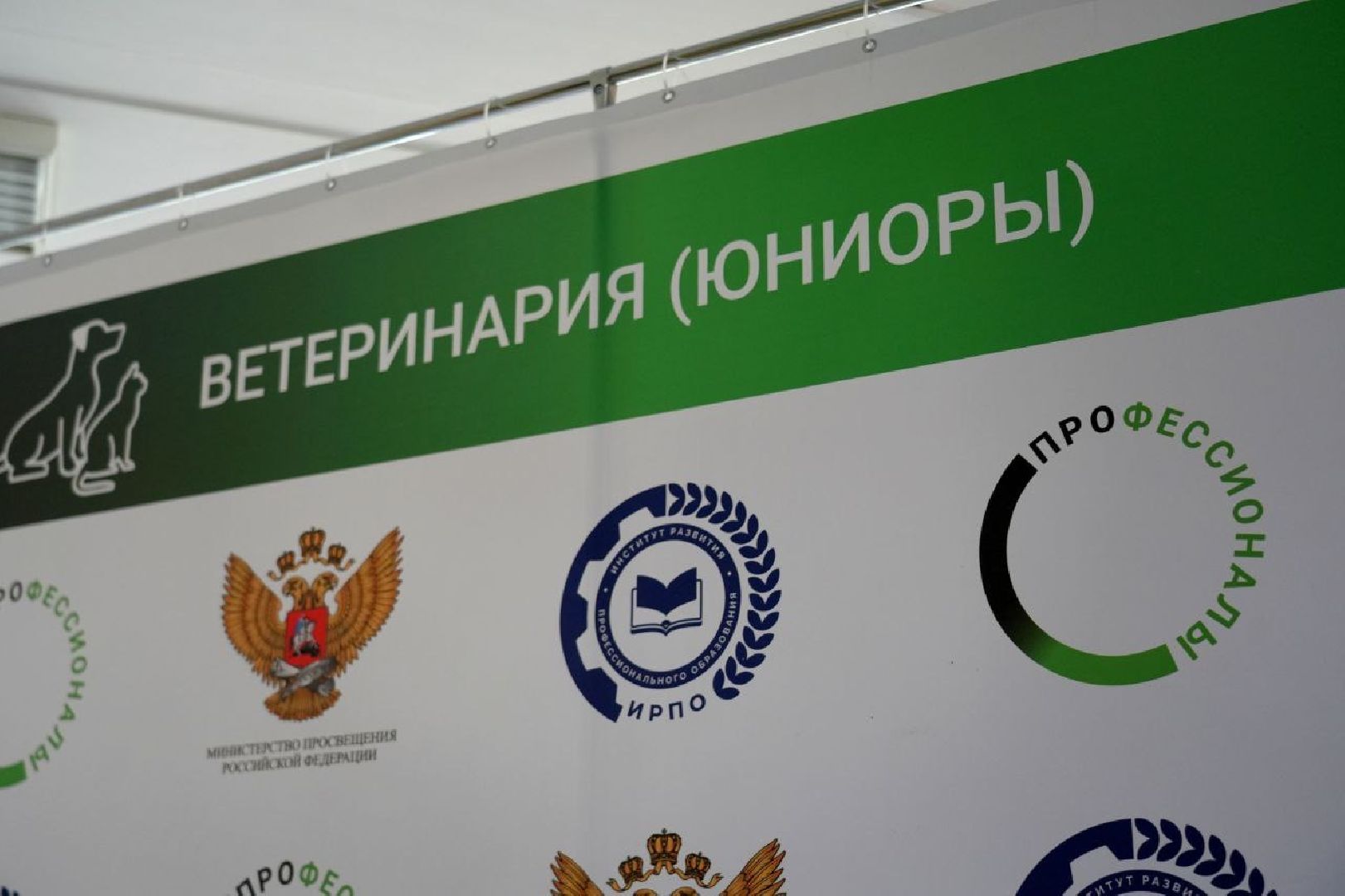 образование, сергиево-посадский колледж, профессионалы, сергиево-посадский городской округ, сергиев посад, колледж, ветеринария,