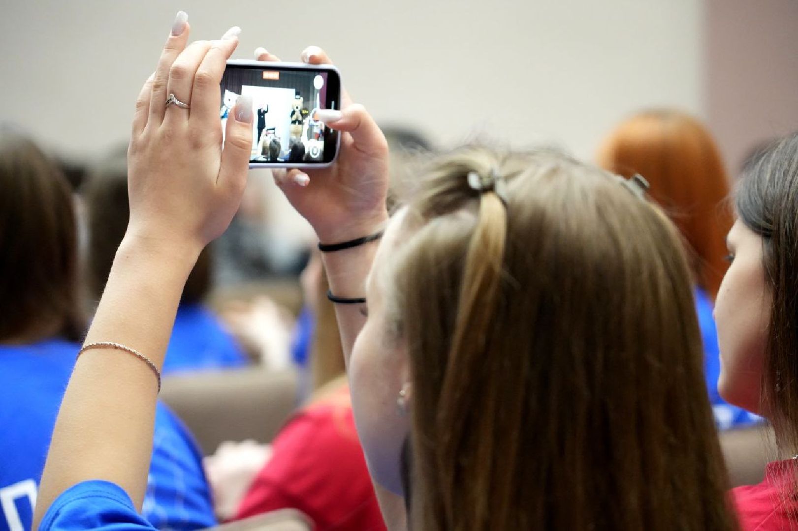 образование, сергиево-посадский колледж, профессионалы, сергиево-посадский городской округ, сергиев посад, колледж, ветеринария,