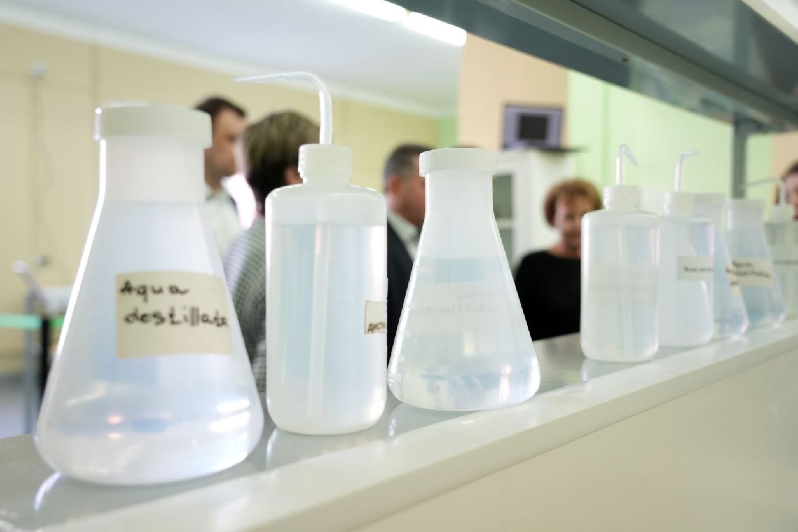 образование, сергиево-посадский колледж, профессионалы, сергиево-посадский городской округ, сергиев посад, колледж, ветеринария,