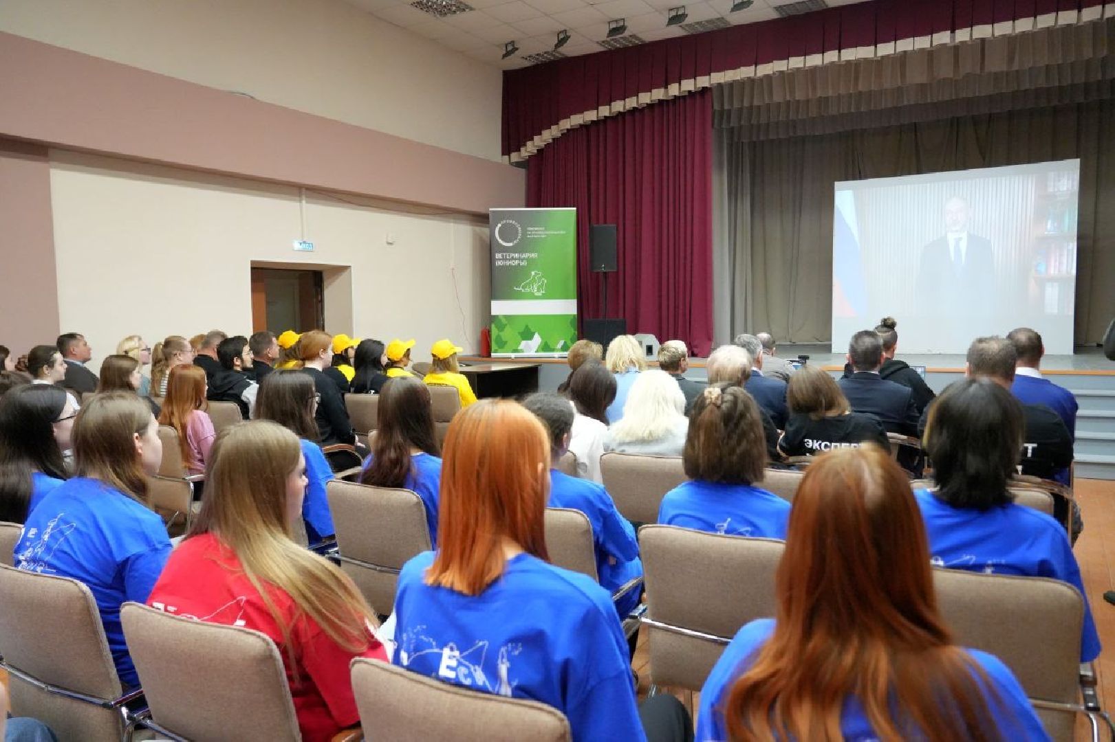 образование, сергиево-посадский колледж, профессионалы, сергиево-посадский городской округ, сергиев посад, колледж, ветеринария,