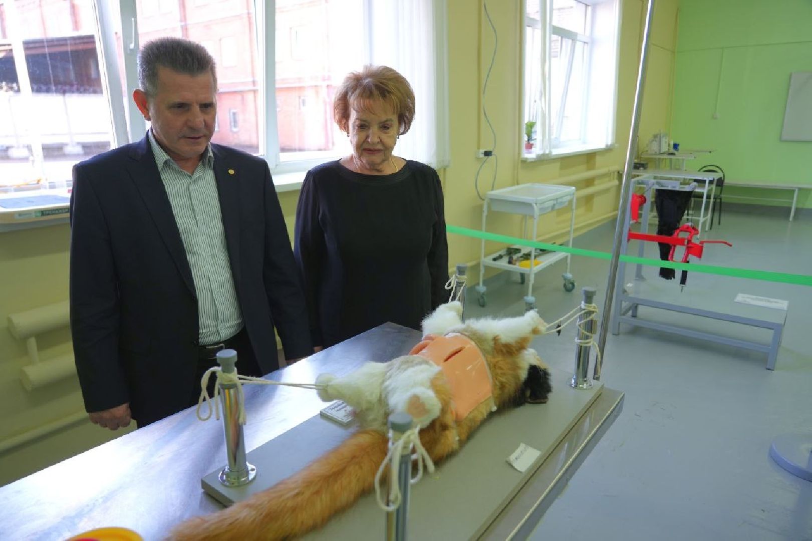 образование, сергиево-посадский колледж, профессионалы, сергиево-посадский городской округ, сергиев посад, колледж, ветеринария,