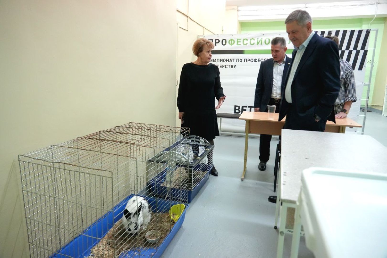 образование, сергиево-посадский колледж, профессионалы, сергиево-посадский городской округ, сергиев посад, колледж, ветеринария,