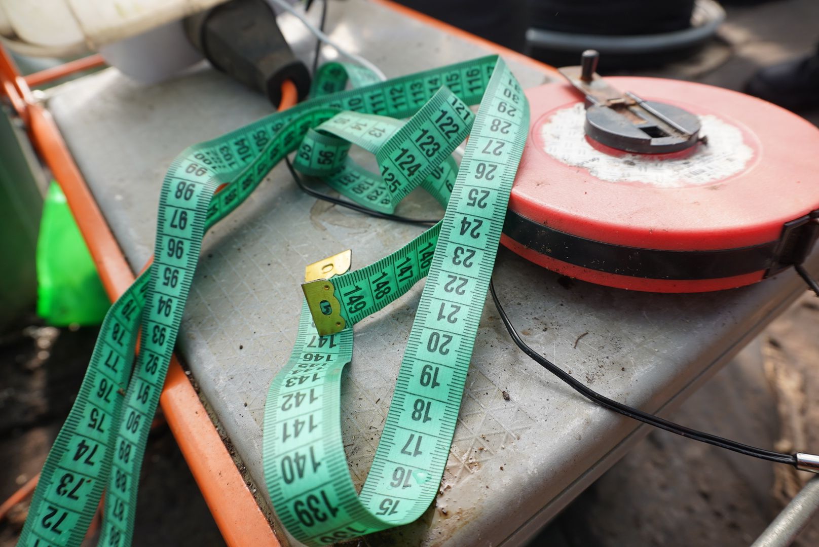 Электрогорск, Рекорд, овощи,