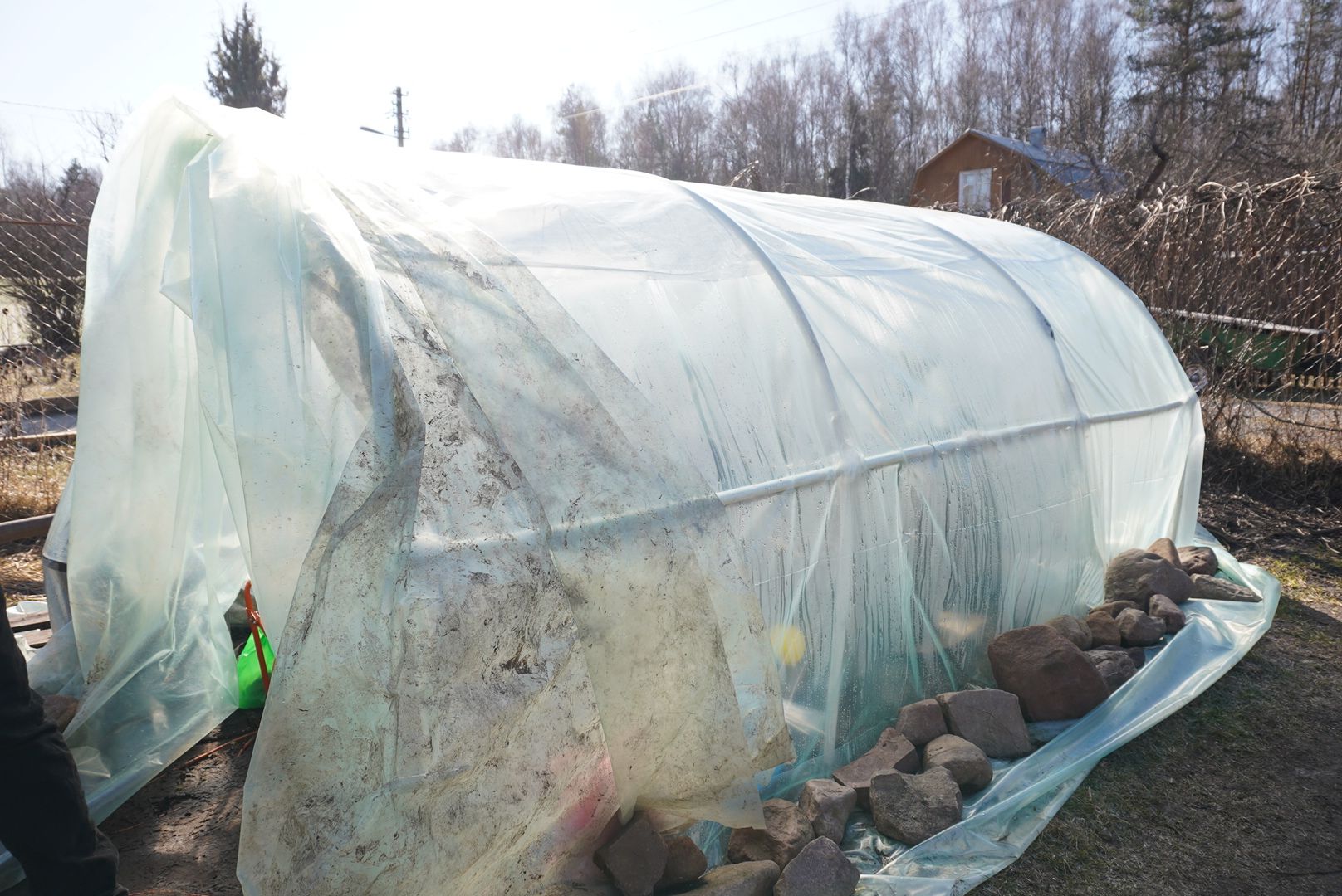 Электрогорск, Рекорд, овощи,