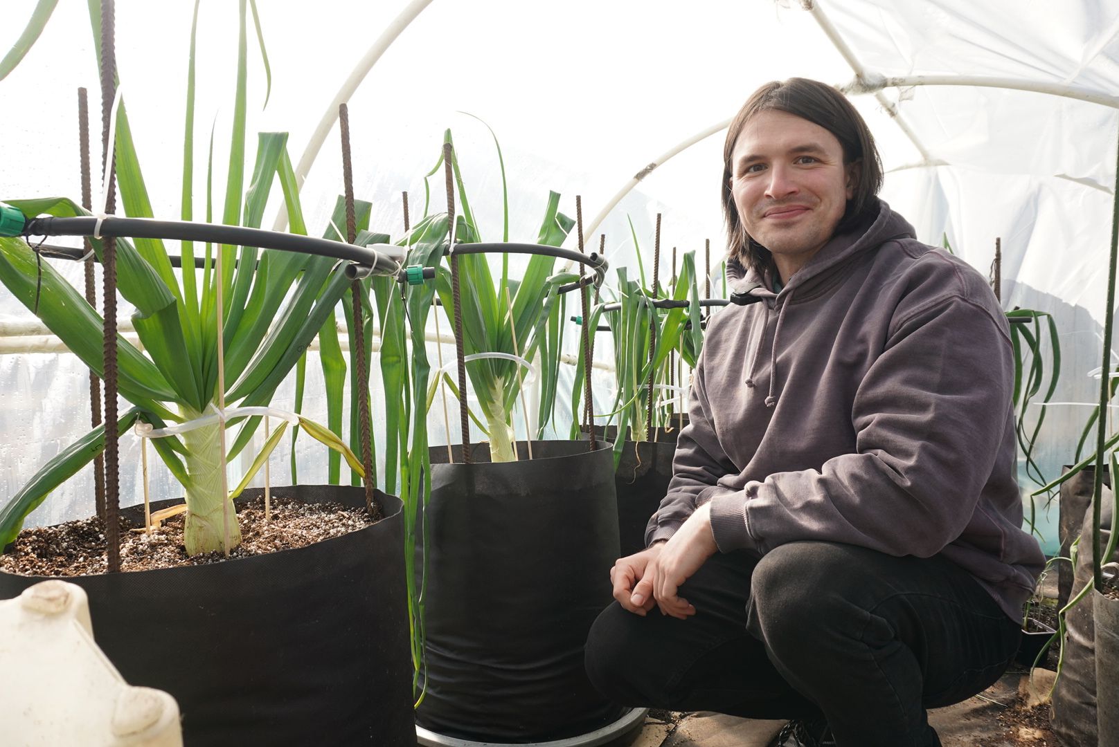 Электрогорск, Рекорд, овощи,