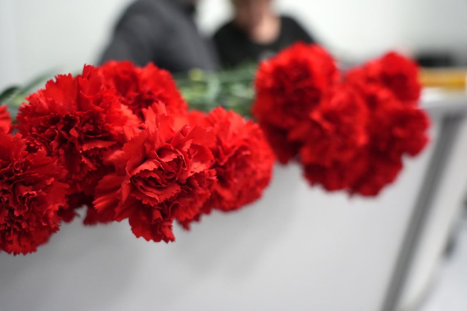 сво, герои, парта героя, школа, образование, память, патриотизм, сергиев посад, сергиево-посадский городской округ,