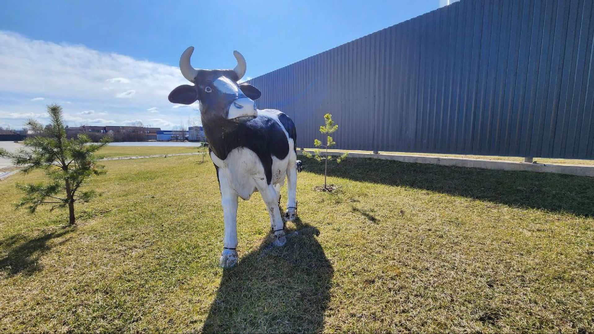 Дмитров, Озерецкий молокозавод, Экомилк,