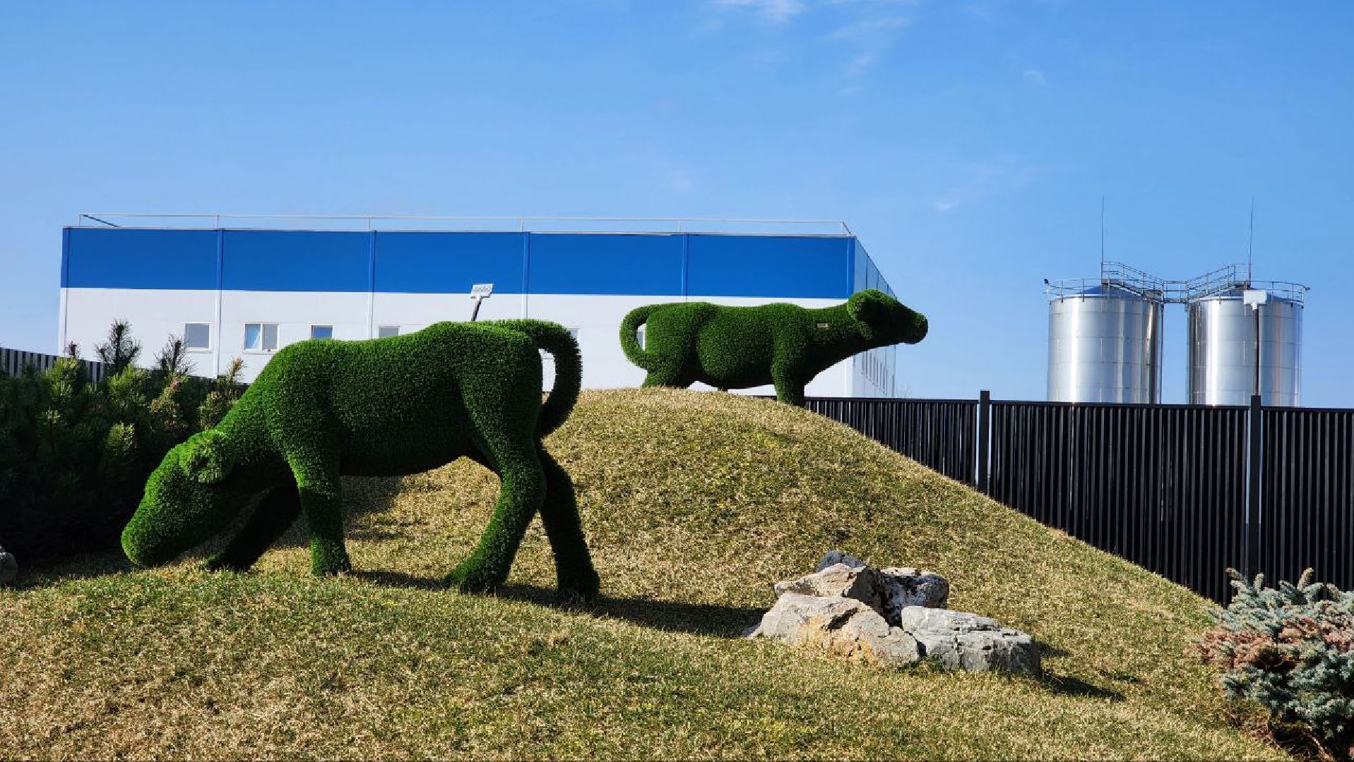 Дмитров, Озерецкий молокозавод, Экомилк,