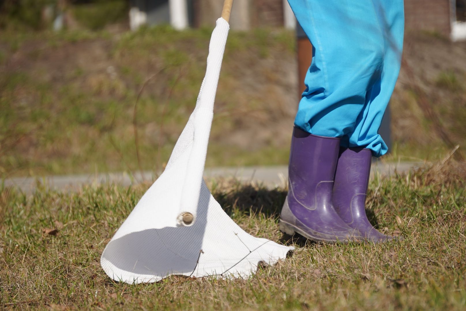 Павловский Посад, обработка, парк,