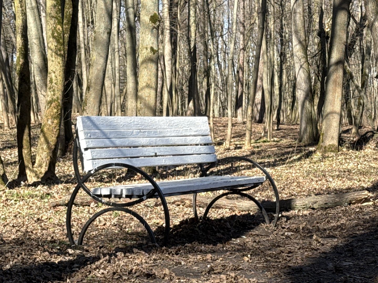 раменское, усадьба быково, субботник,