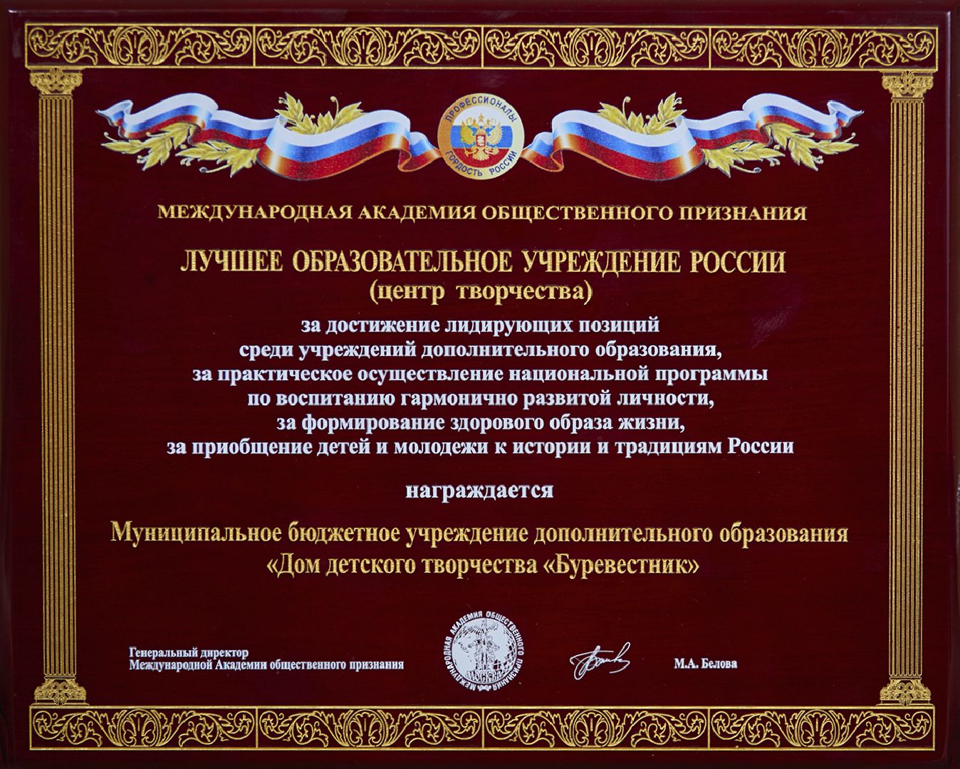 солнечногорск, дом детского творчества, буревестник, воспитанники, награда,