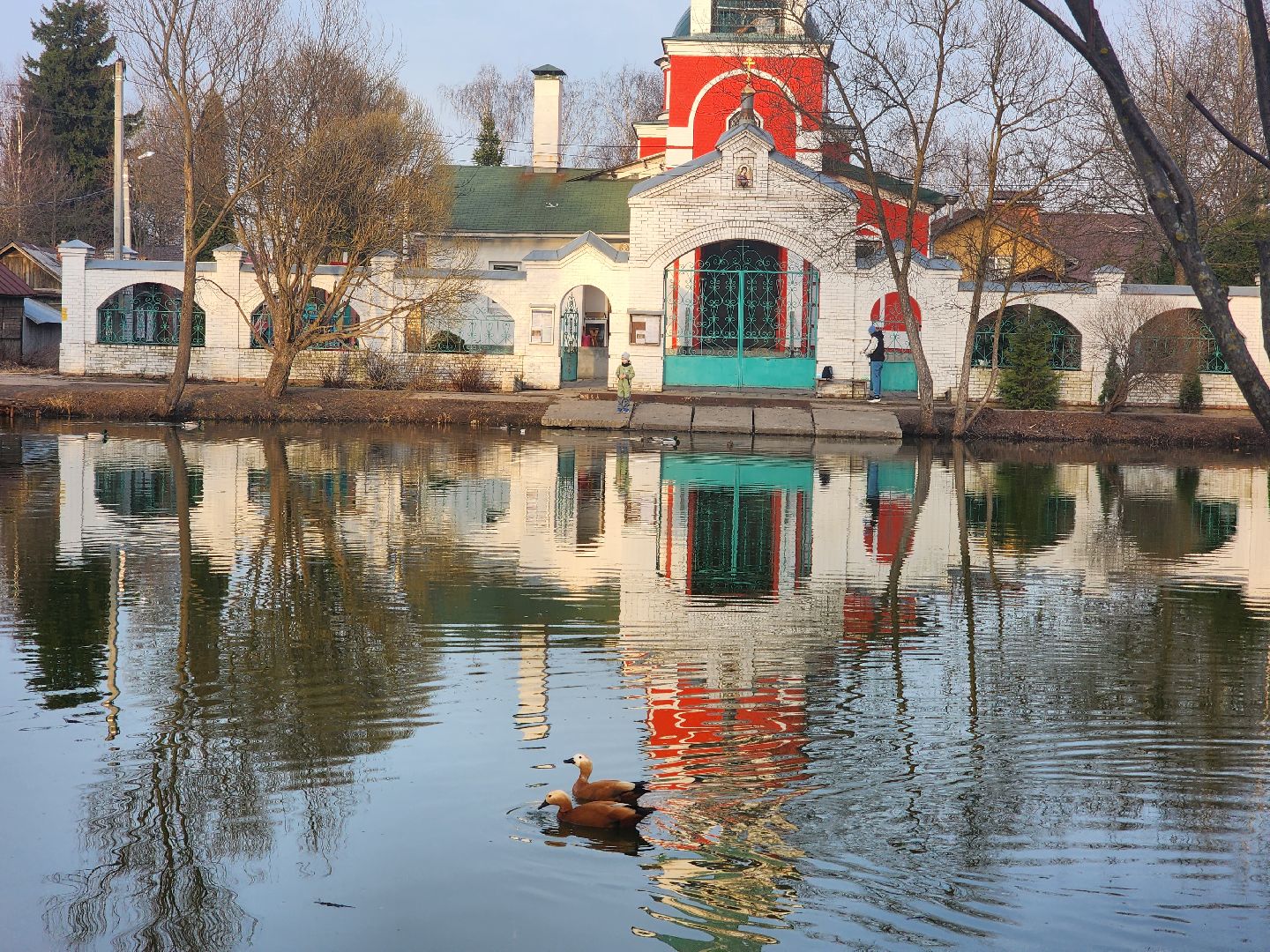 пушкино, благоустройство, утки, экология подмосковья,