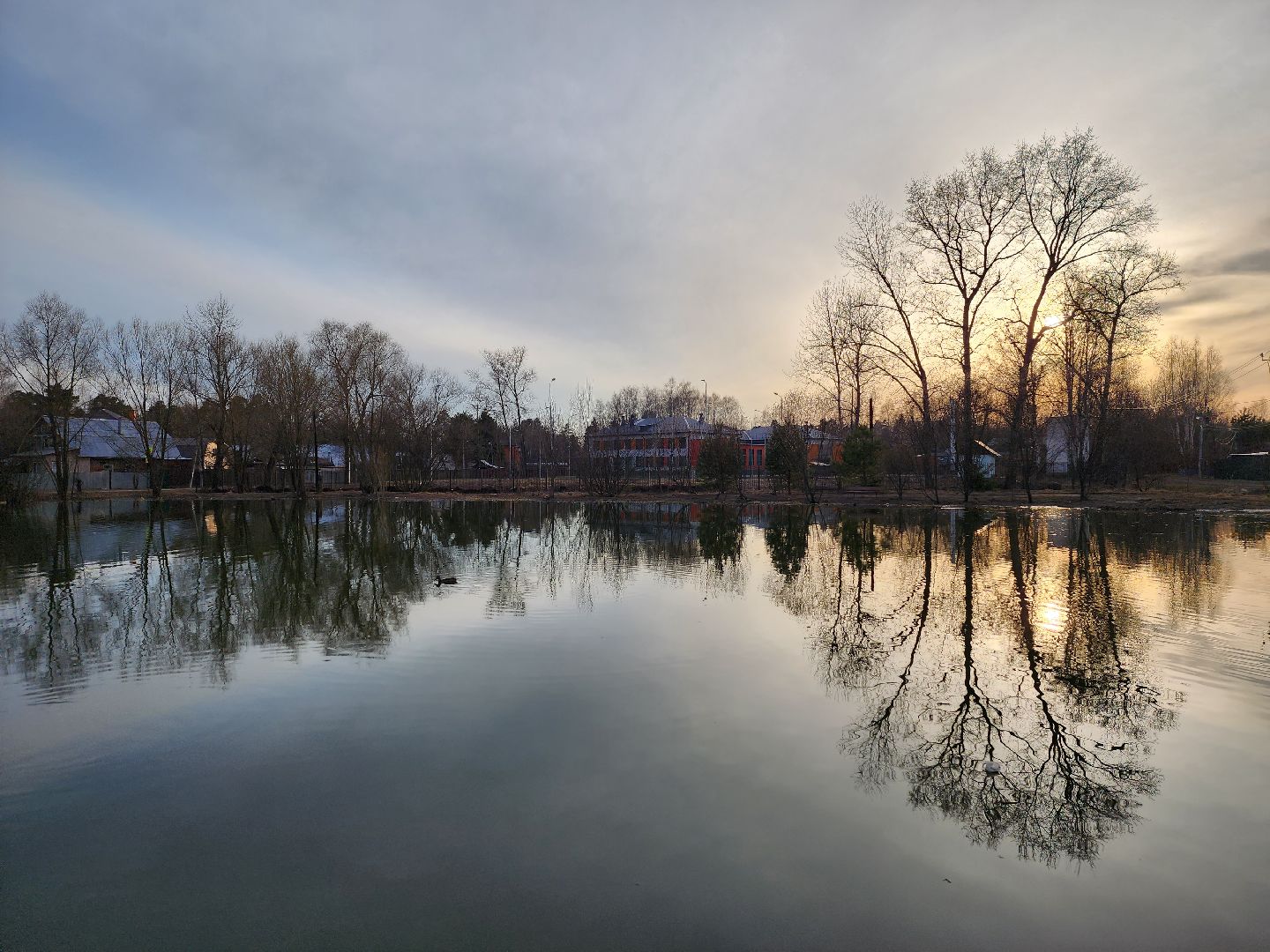пушкино, экология подмосковья, огари,