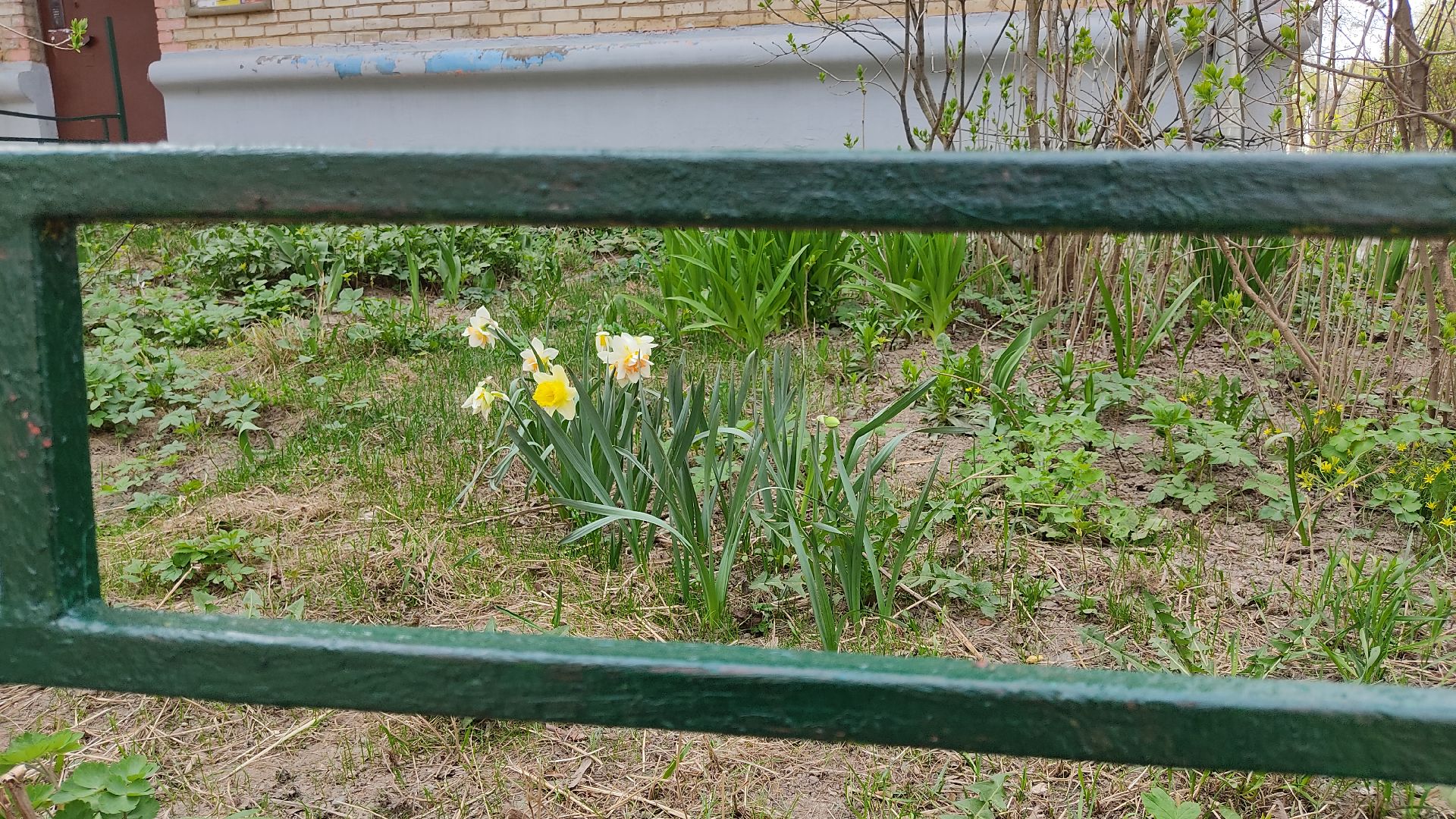 Лобня, ЖКХ, ограждения