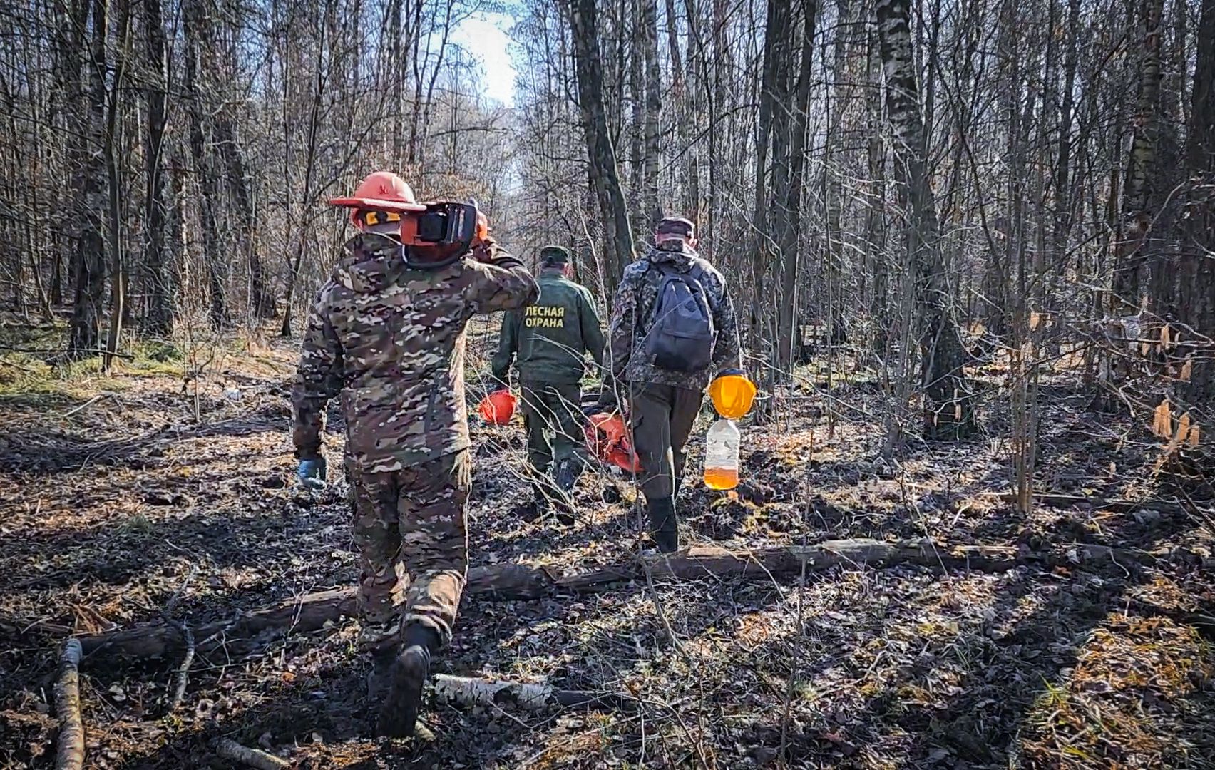Бронницы, Лесная охрана, Уборка неликвидной древесины, Бронницкое лесничество,