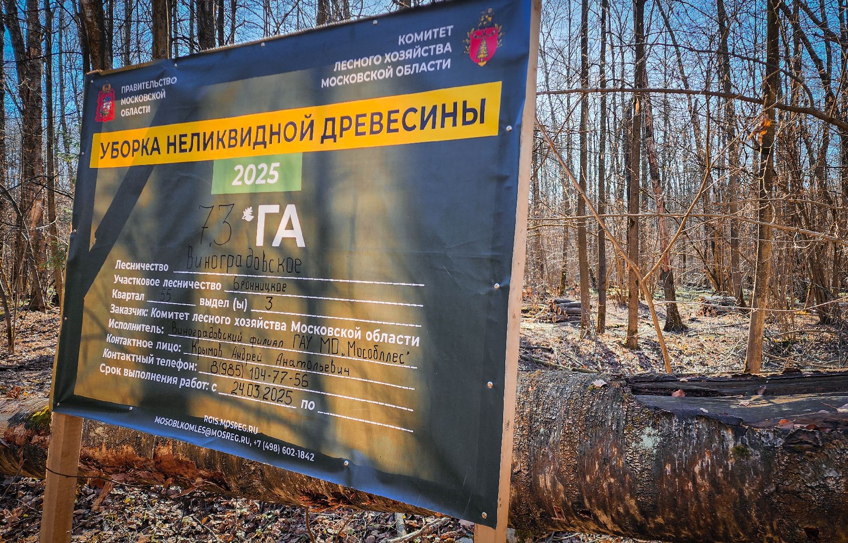 Бронницы, Лесная охрана, Уборка неликвидной древесины, Бронницкое лесничество,