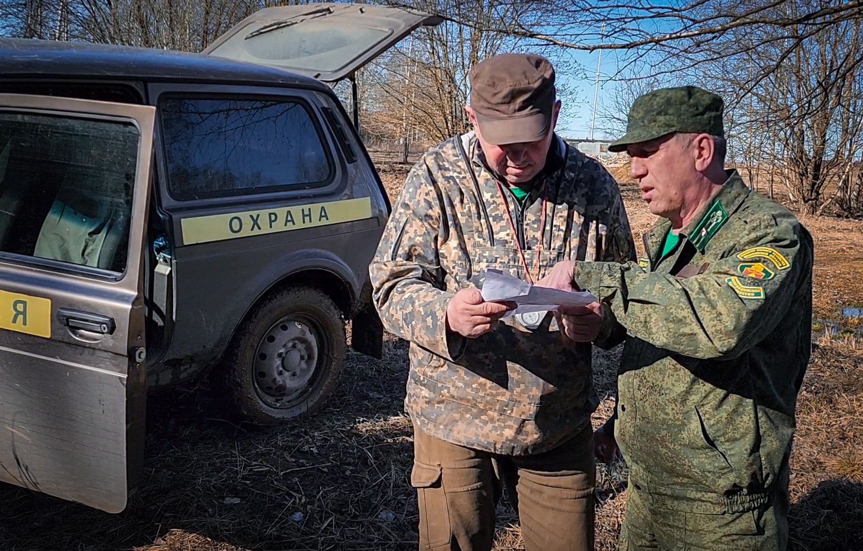 Бронницы, Лесная охрана, Уборка неликвидной древесины, Бронницкое лесничество,