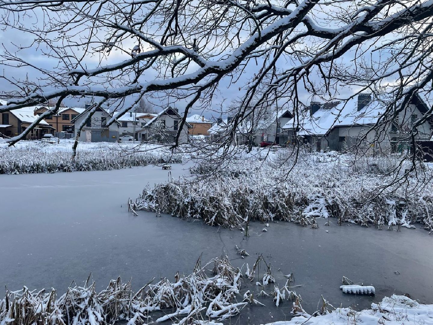 выездная администрация, мытищи,