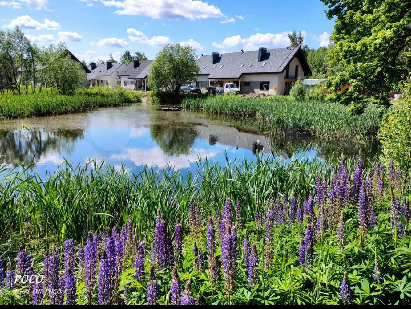 выездная администрация, мытищи,