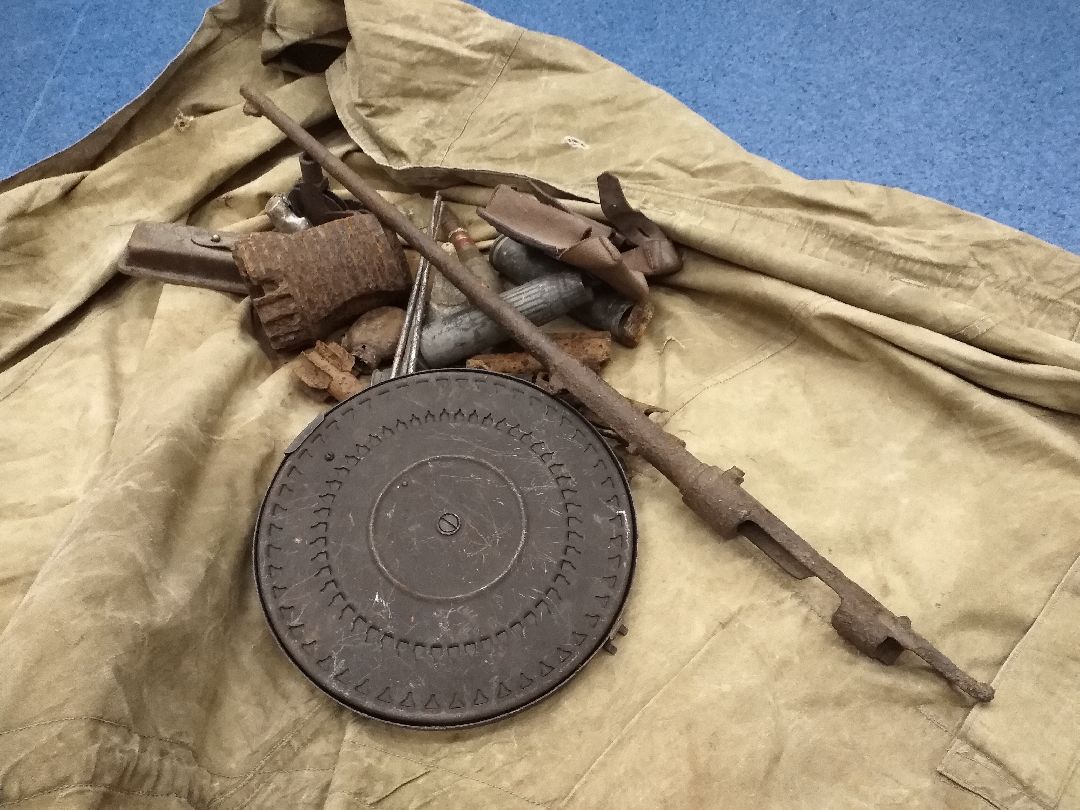 Лосино-Петровск, общество