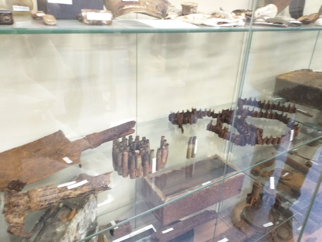 Лосино-Петровск, общество