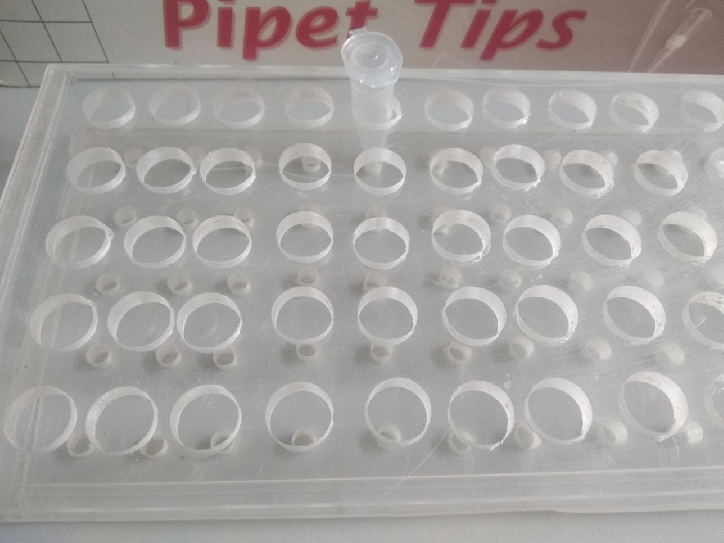 Дмитров, ВНИРО, ВНИИПРХ, Росрыболовство МО