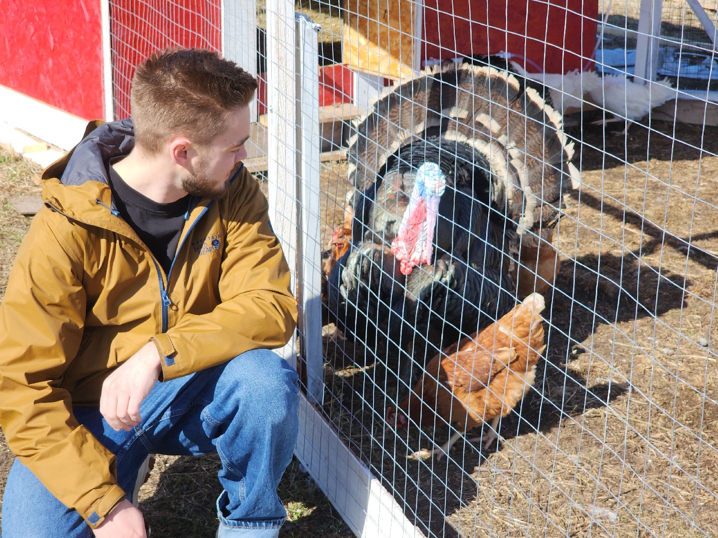 семейная ферма, орехово-зуевский округ, фермеры подмосковья, семен янин,