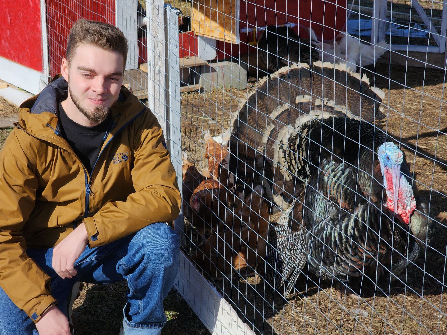 семейная ферма, орехово-зуевский округ, фермеры подмосковья, семен янин,