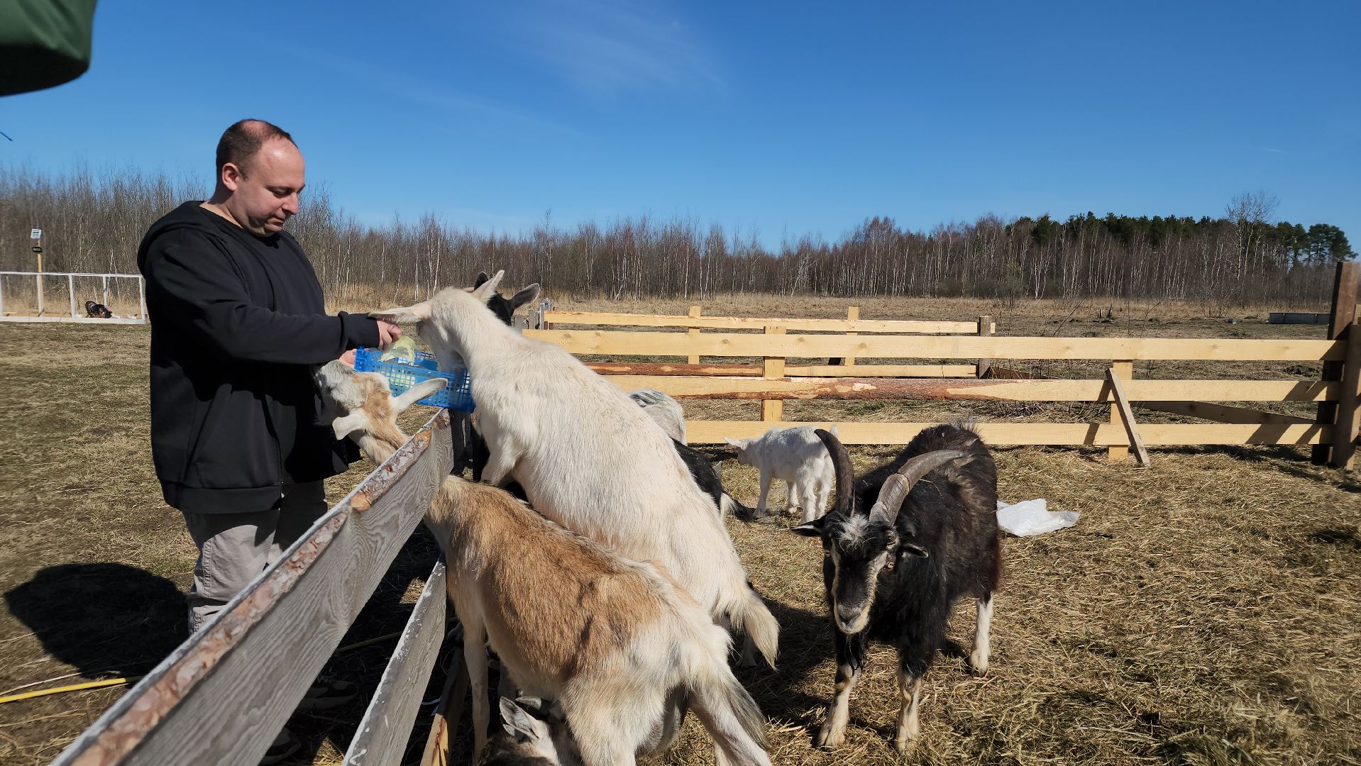 семейная ферма, орехово-зуевский округ, фермеры подмосковья, семен янин,
