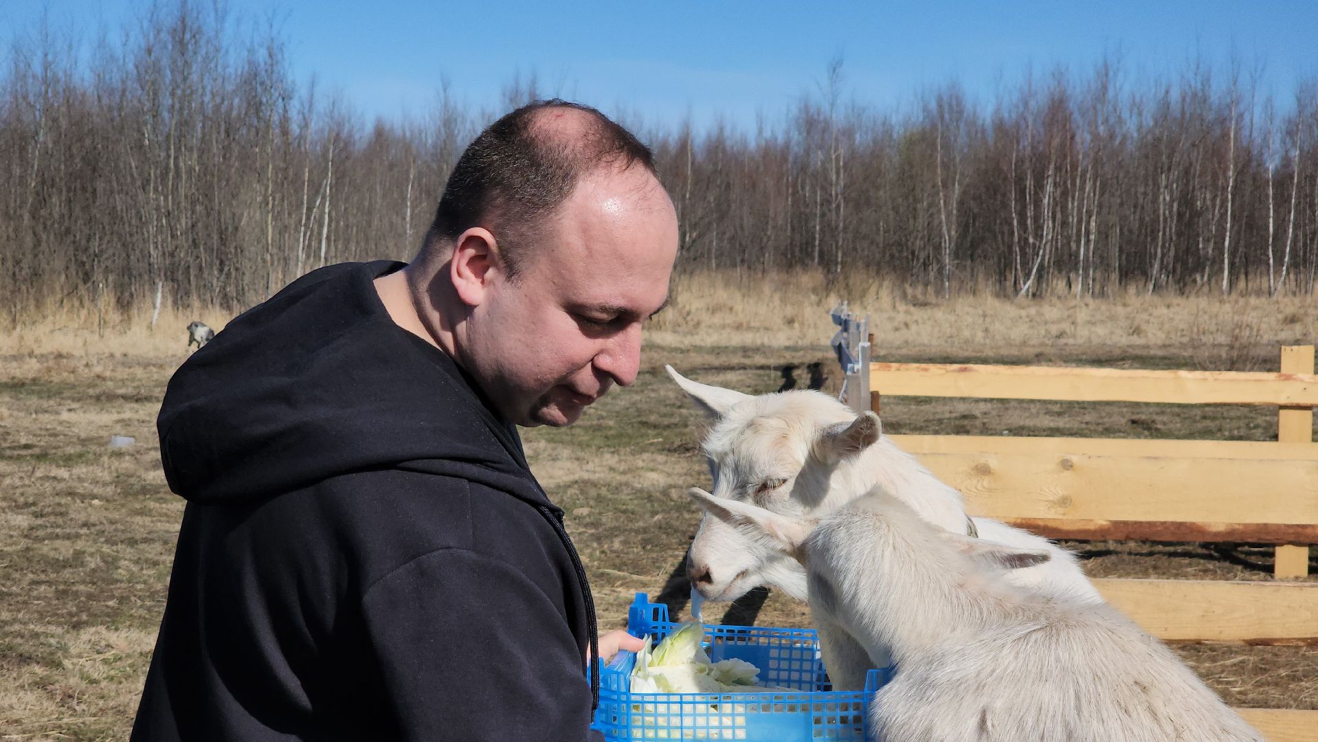 семейная ферма, орехово-зуевский округ, фермеры подмосковья, семен янин,