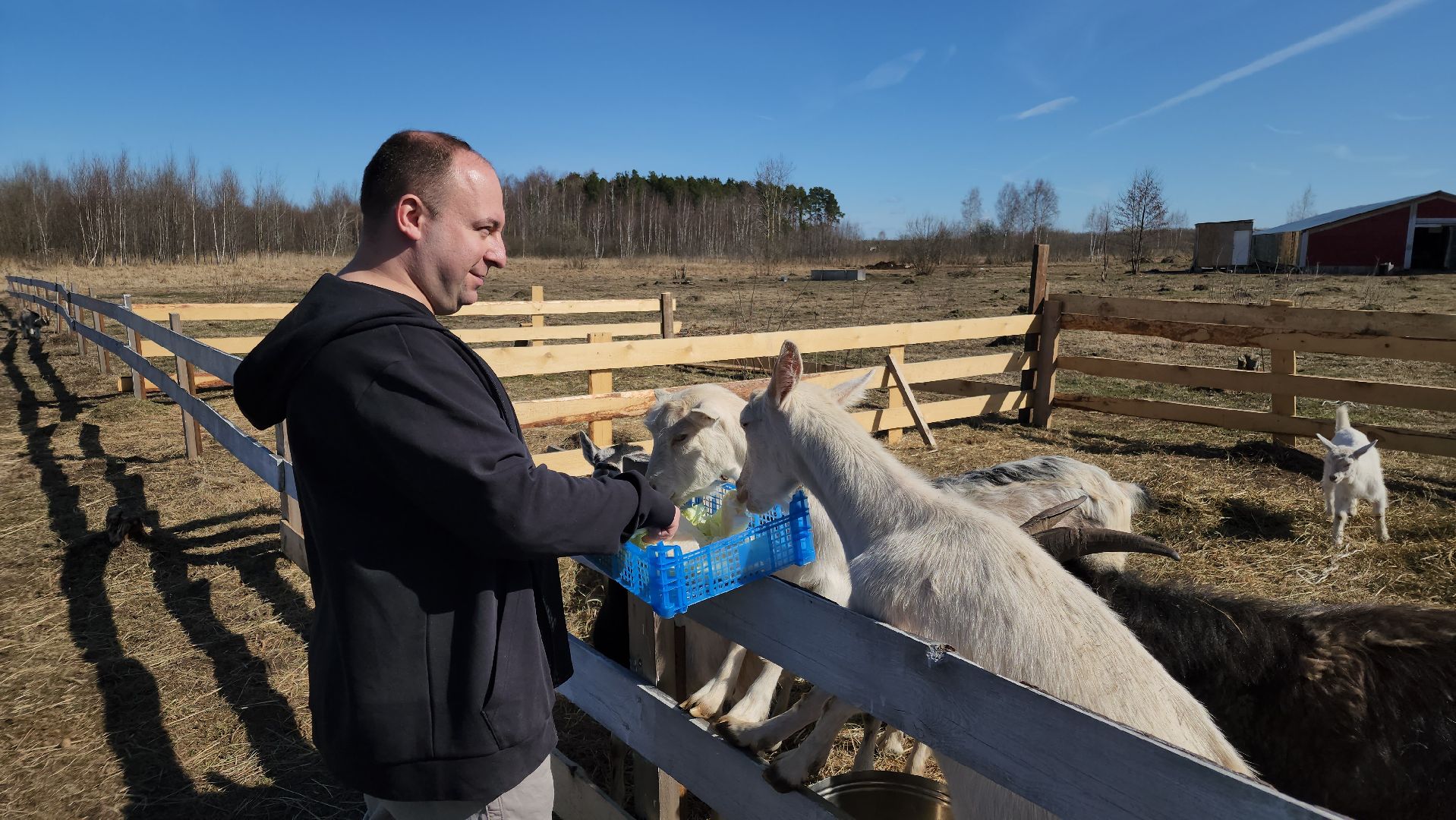 семейная ферма, орехово-зуевский округ, фермеры подмосковья, семен янин,