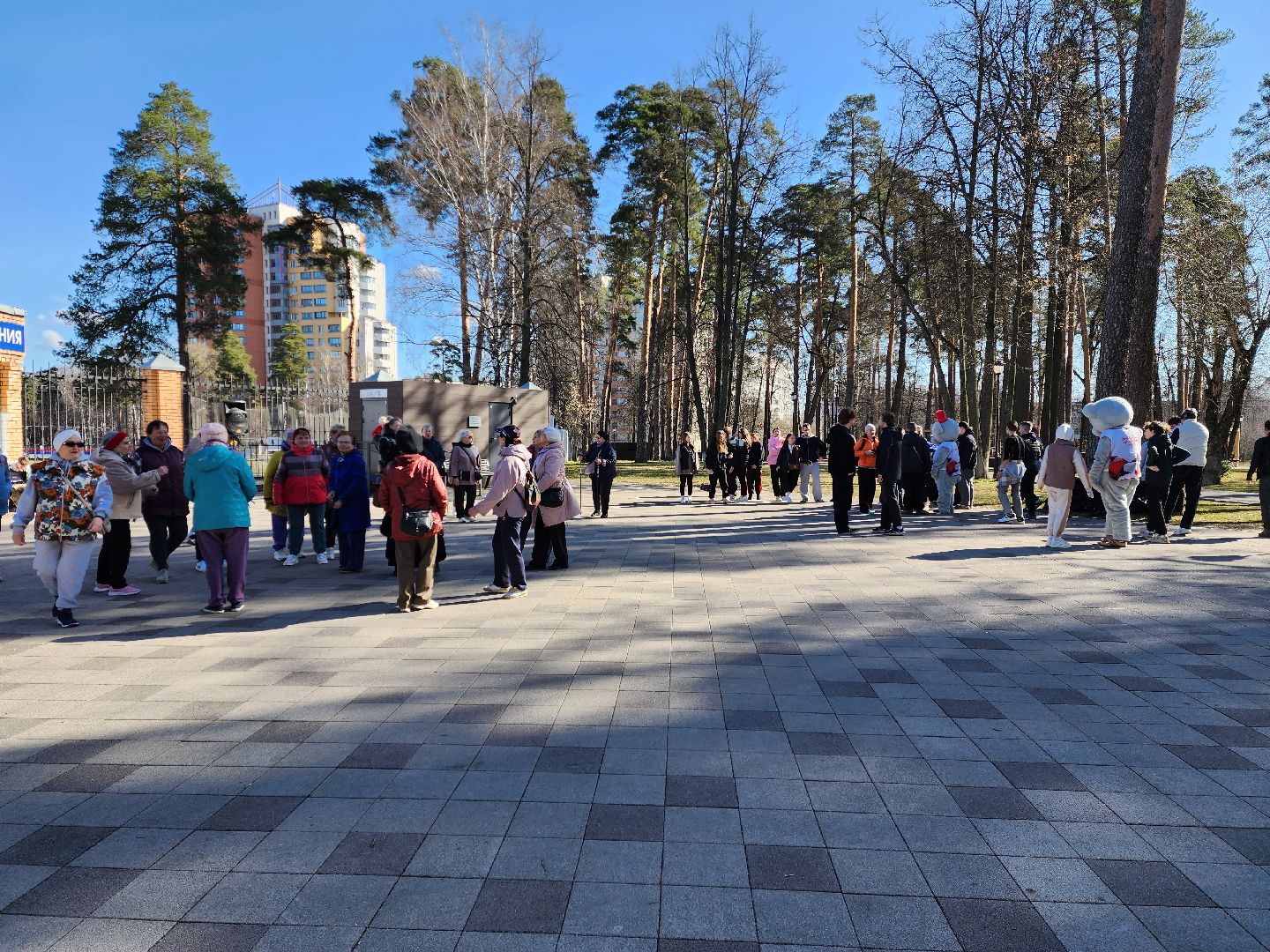 раменское, спорт, день здоровья, утренняя зарядка в парке,