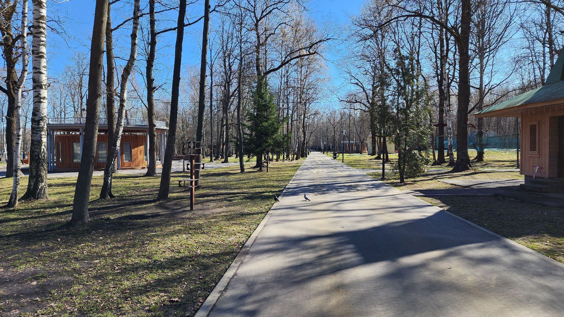 ступино, парки подмосковья, обработка от клещей,