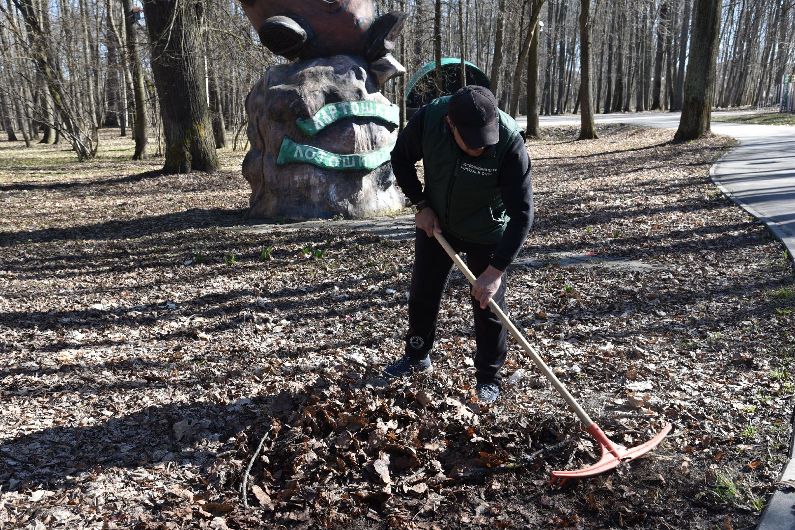 лотошино, лотошинский парк, парки подмосковья, субботник,