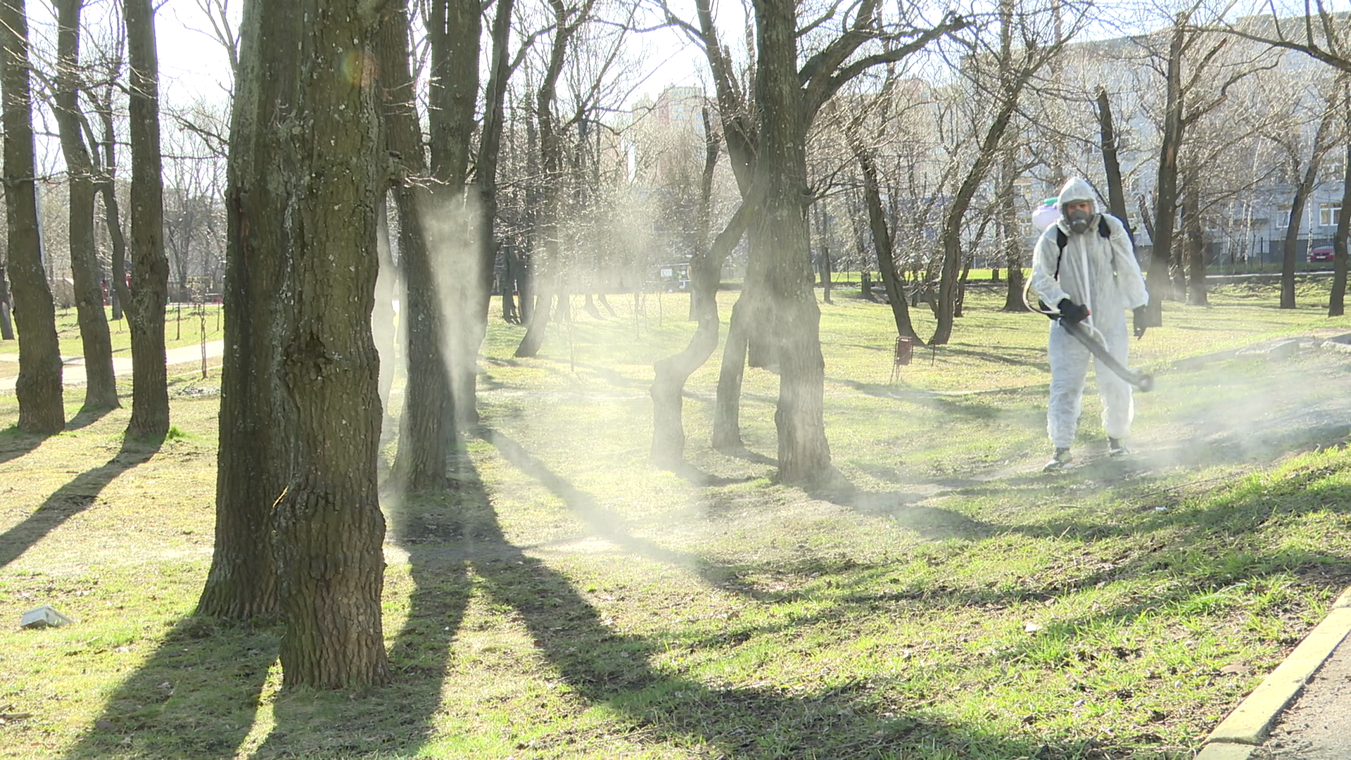 реутов, экология, обработка от клещей, борьба с насекомыми,