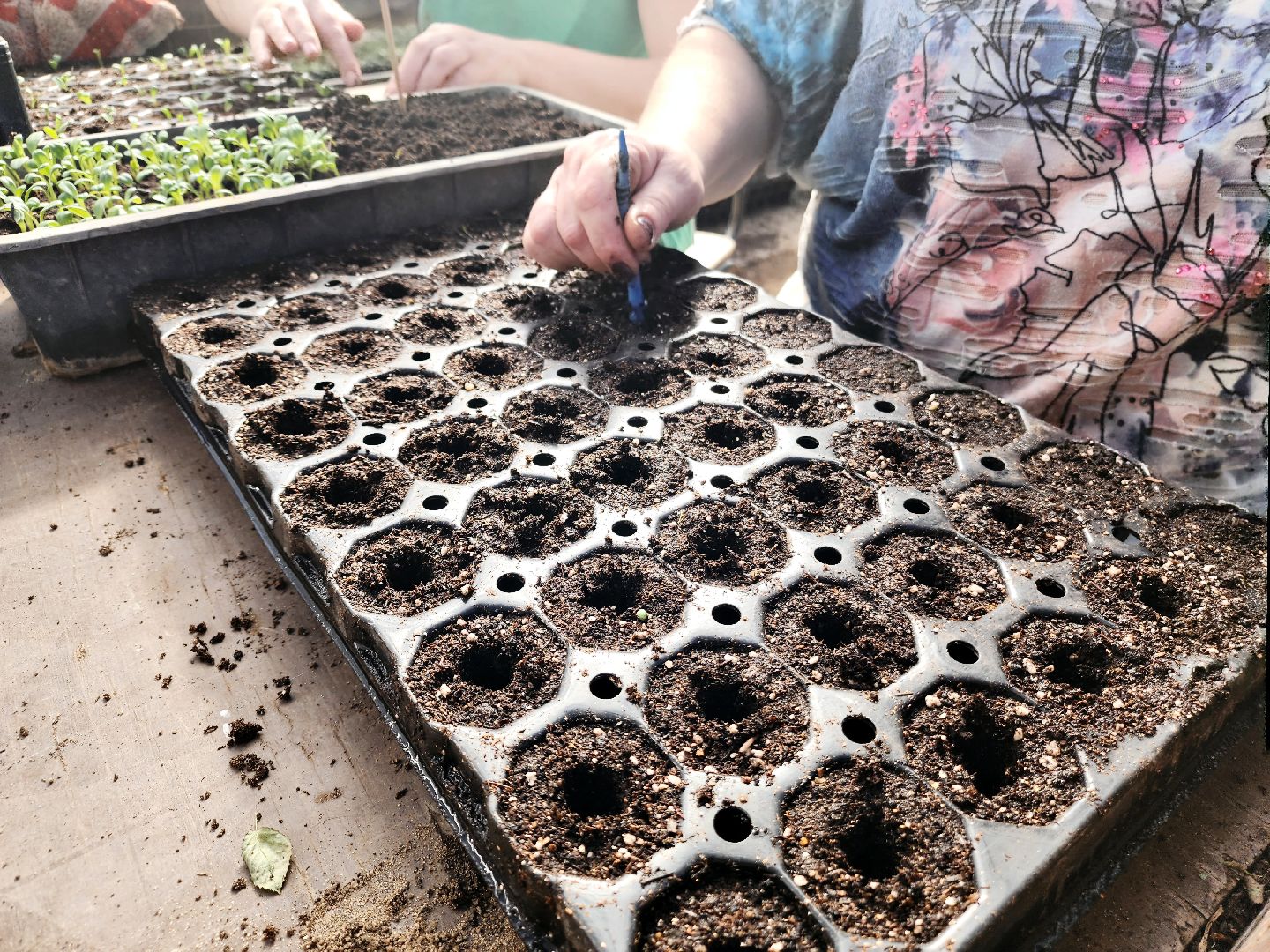 пущино, серпухов, цветы, благоустройство,