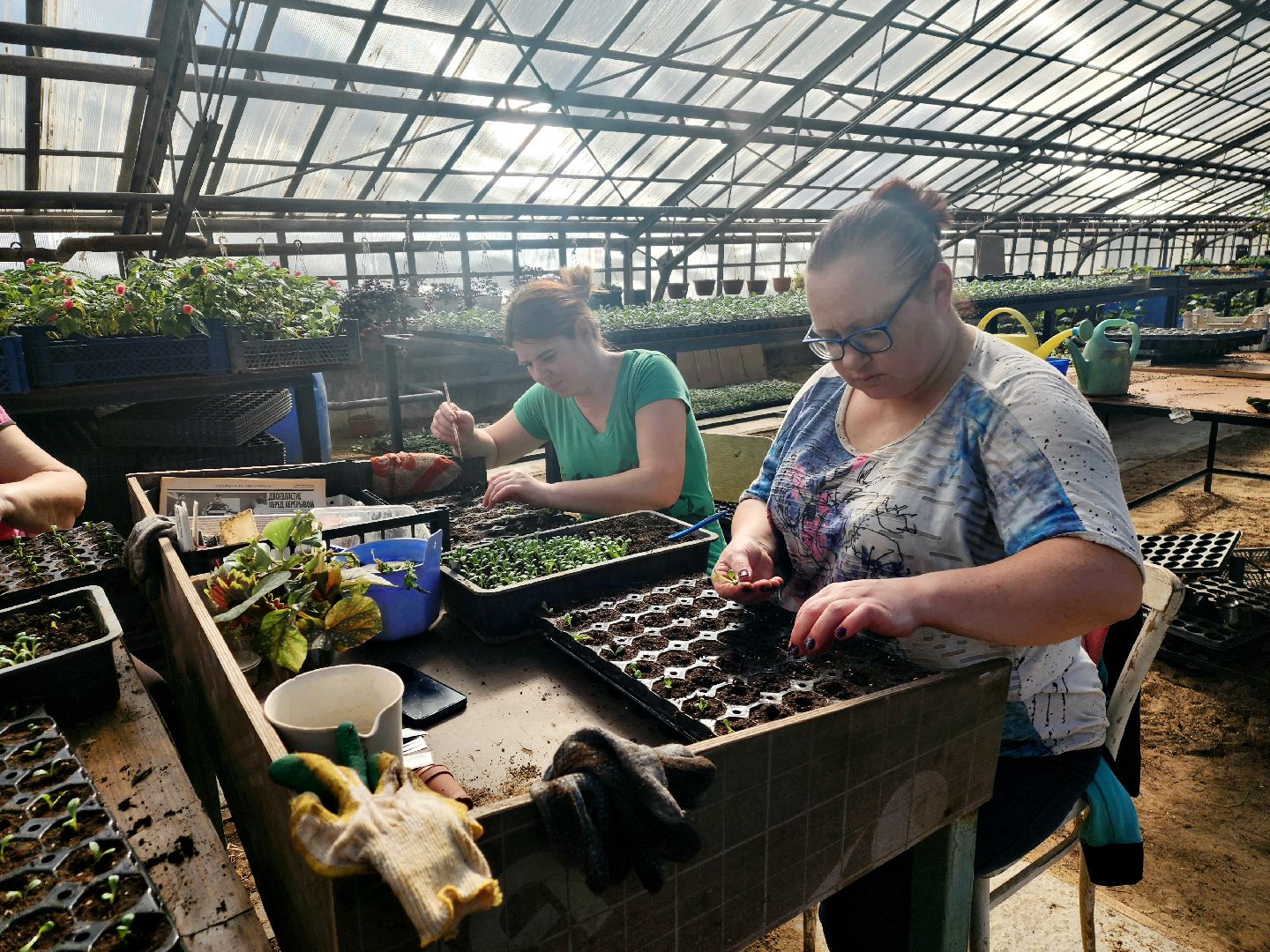пущино, серпухов, цветы, благоустройство,
