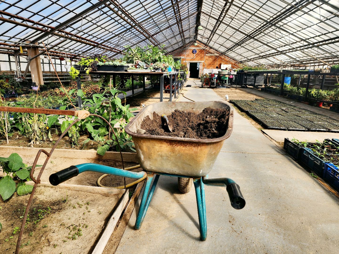 пущино, серпухов, цветы, благоустройство,